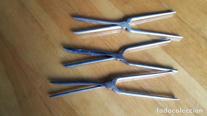 Antig&uuml;edades: Tenacillas antiguas pelo - Foto 2