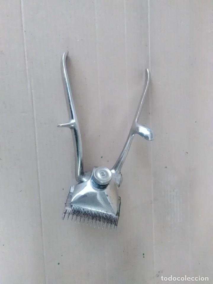 Antig&uuml;edades: Maquinilla corta pelo antigua - Foto 3