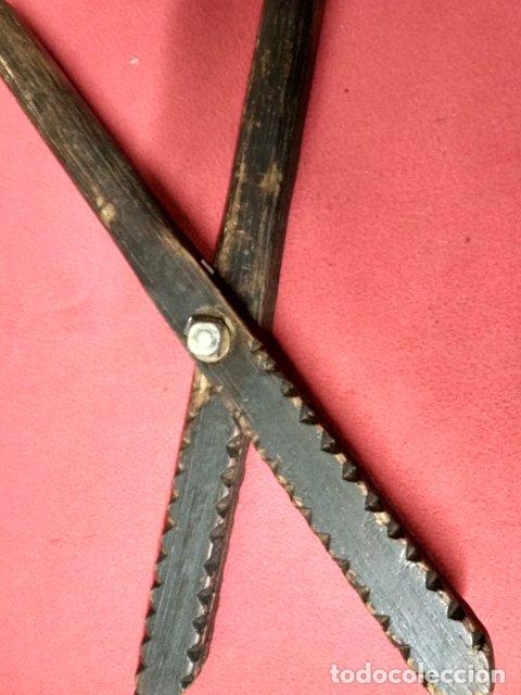 Antig&uuml;edades: ANTIGUO UTIL PARA RECOGER CASTA&Ntilde;AS - Foto 1