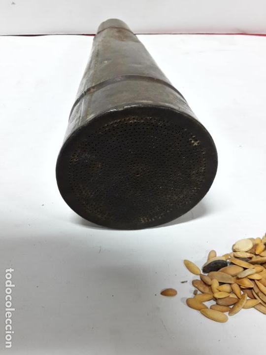 Antig&uuml;edades: Semillero s XVIII, pp XIX en chapa - Foto 3