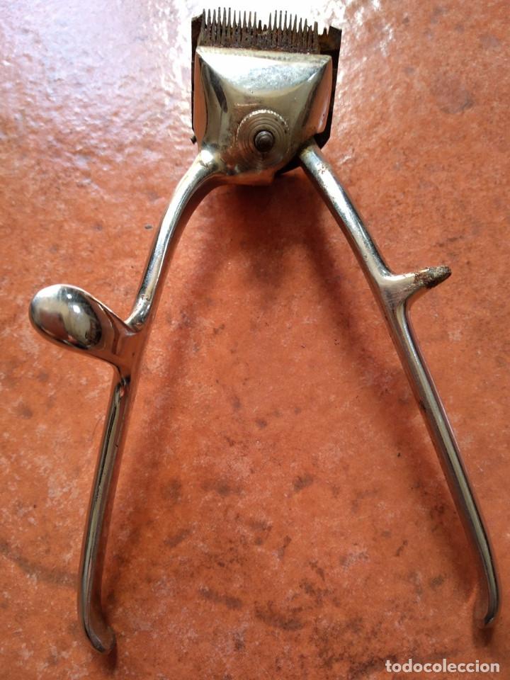 Antig&uuml;edades: MAQUINILLA CORTA PELO - Foto 1