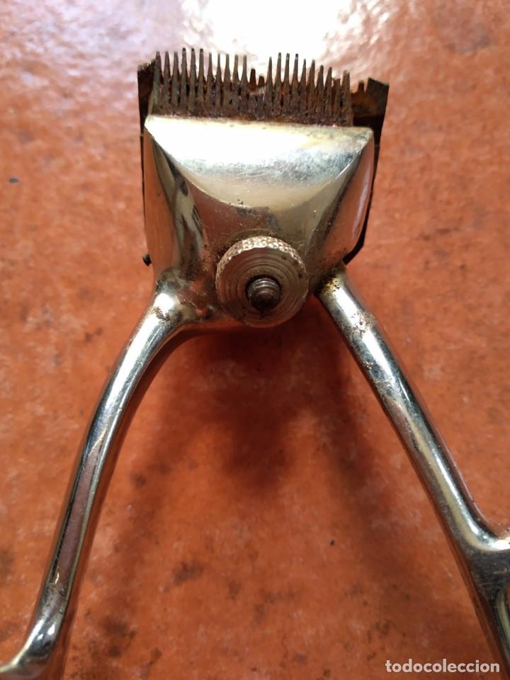 Antig&uuml;edades: MAQUINILLA CORTA PELO - Foto 3