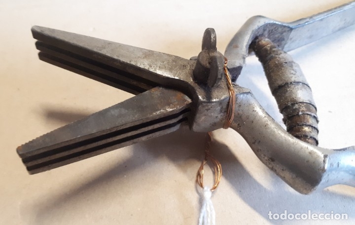Antig&uuml;edades: Alicates - masticador - Foto 2