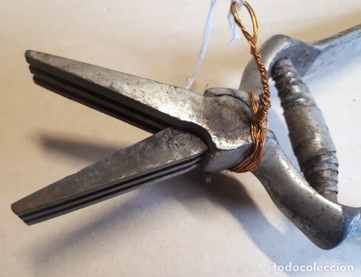 Antig&uuml;edades: Alicates - masticador - Foto 4
