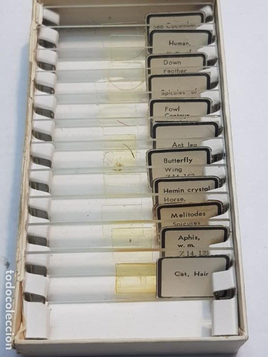 Antigüedades: Caja pruebas de Microscopio Prepared Slides en caja original - Foto 2 - 189687777