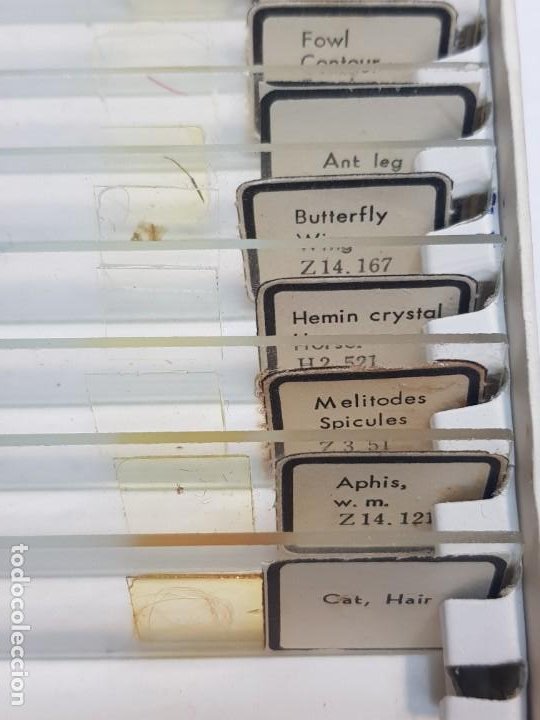 Antigüedades: Caja pruebas de Microscopio Prepared Slides en caja original - Foto 4 - 189687777