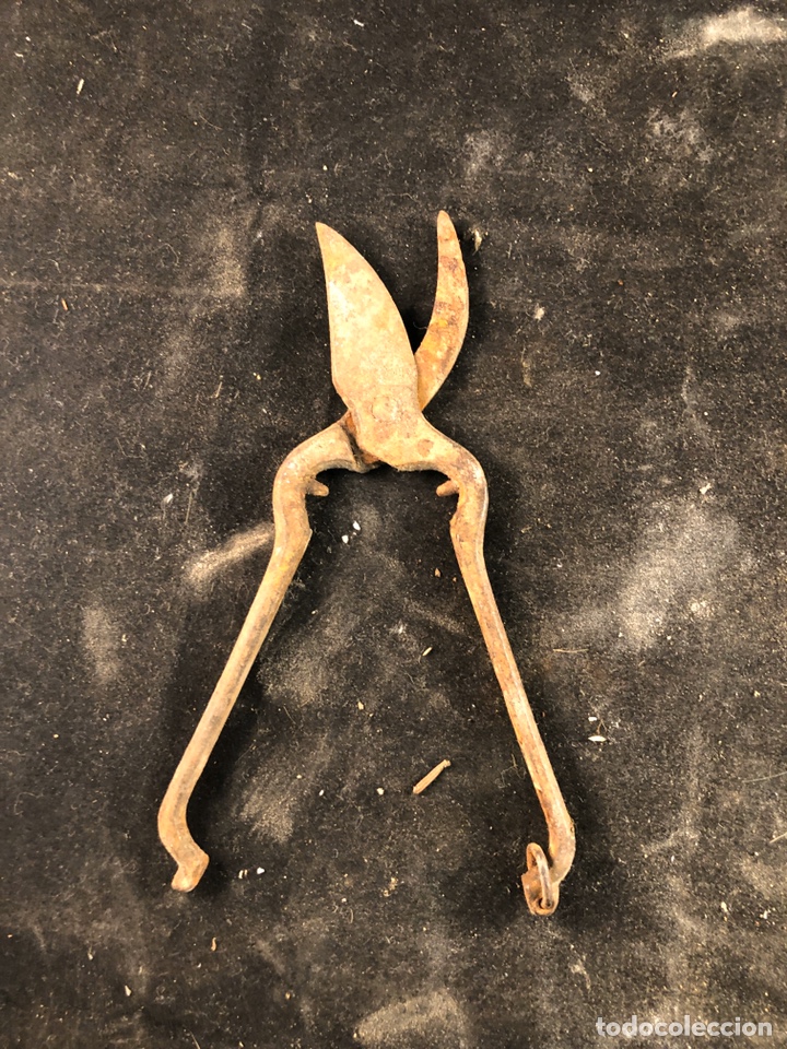 Antig&uuml;edades: Antiguas tijeras de poda - Foto 2