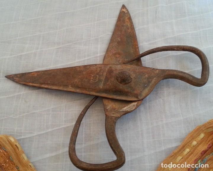 Antig&uuml;edades: Tijeras de esquilar. Centenarias - Foto 3