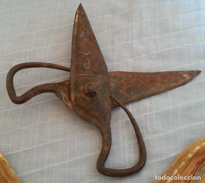Antig&uuml;edades: Tijeras de esquilar. Centenarias - Foto 4