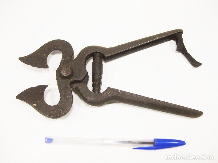 Antig&uuml;edades: Herramienta para cortar az&uacute;car o similar. - Foto 1