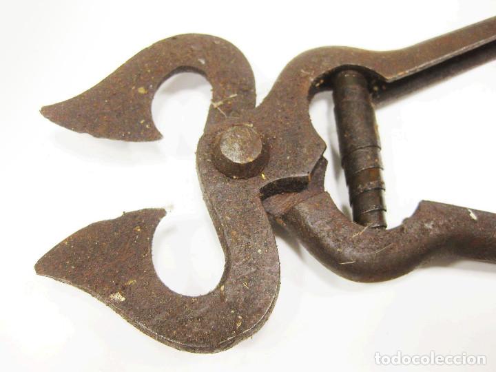 Antig&uuml;edades: Herramienta para cortar az&uacute;car o similar. - Foto 2