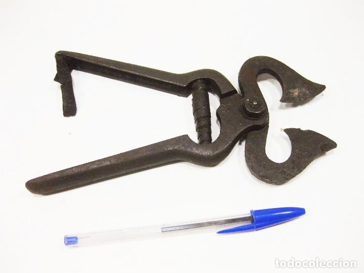 Antig&uuml;edades: Herramienta para cortar az&uacute;car o similar. - Foto 3