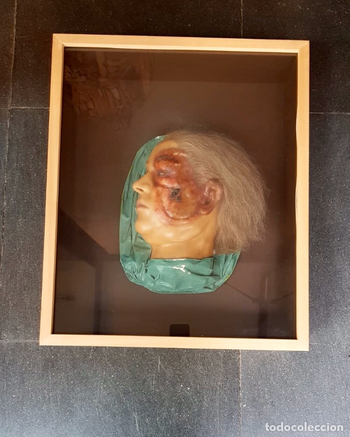 Antig&uuml;edades: MODELO ANATOMICO CERA , SIGLO XIX - Foto 11