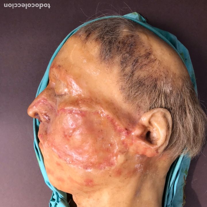 Antig&uuml;edades: MODELO ANATOMICO CERA , SIGLO XIX - Foto 1