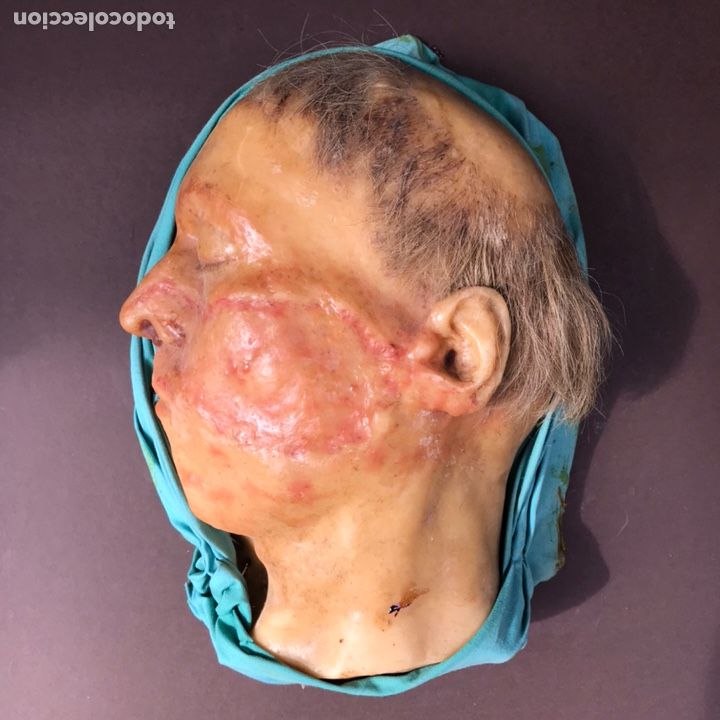 Antig&uuml;edades: MODELO ANATOMICO CERA , SIGLO XIX - Foto 5