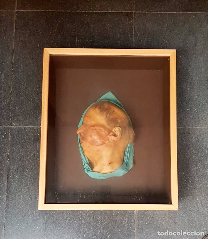 Antig&uuml;edades: MODELO ANATOMICO CERA , SIGLO XIX - Foto 8