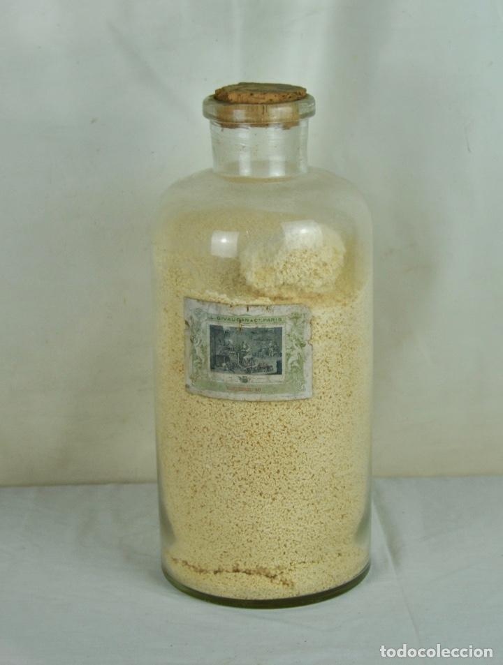 Antig&uuml;edades: Bote farmacia con Vacinerol - Foto 1