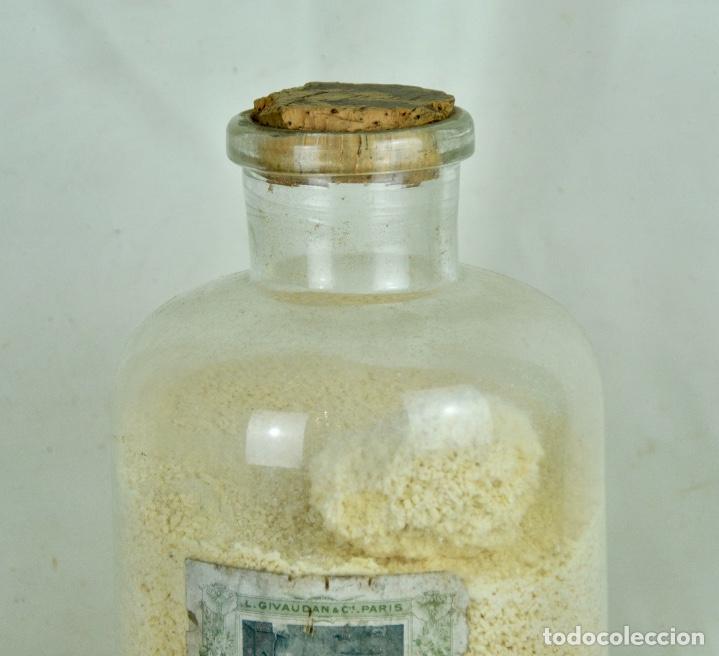 Antig&uuml;edades: Bote farmacia con Vacinerol - Foto 2
