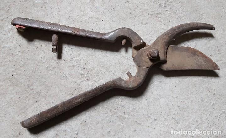 Antig&uuml;edades: Tijeras de podar antiguas - Foto 2