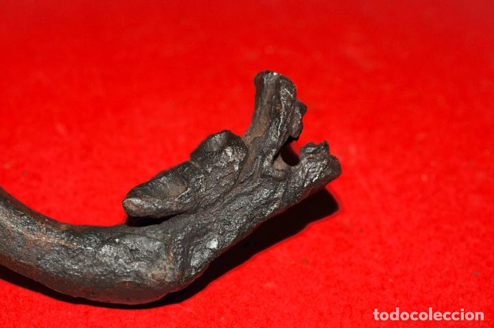 Antig&uuml;edades: CABEZA DE DRAGON EN HIERRO FORJADO - CIRCA 1900 - Foto 3