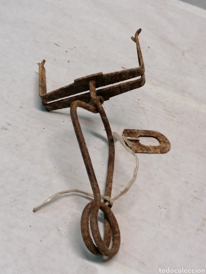 Antig&uuml;edades: Pinza de hierro - Foto 3