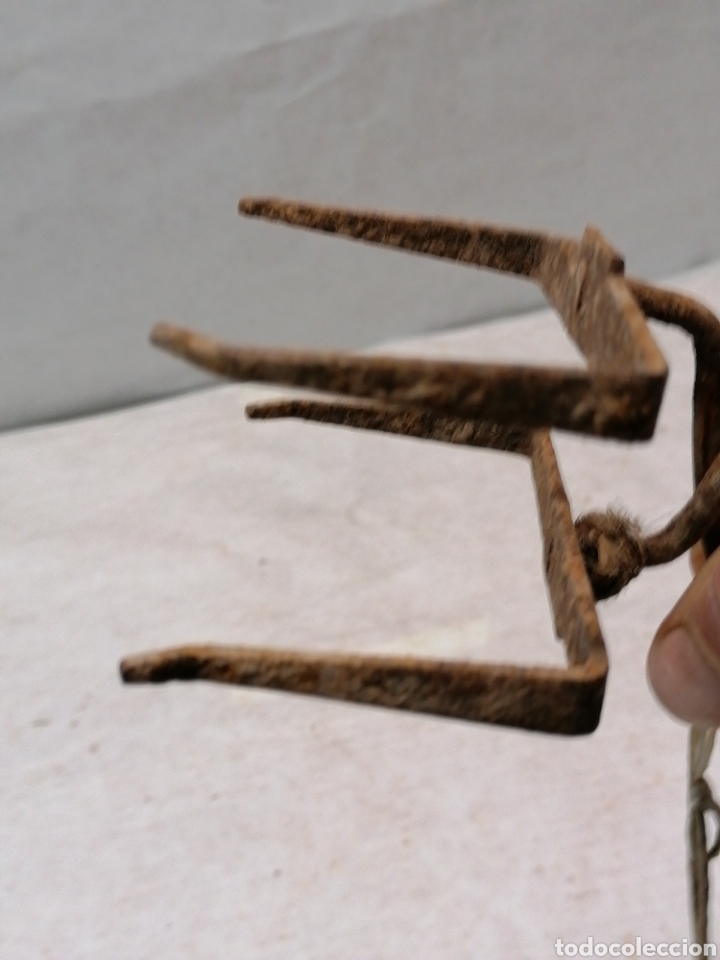 Antig&uuml;edades: Pinza de hierro - Foto 4