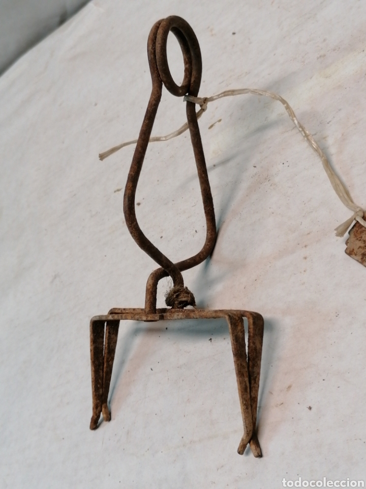 Antig&uuml;edades: Pinza de hierro - Foto 1