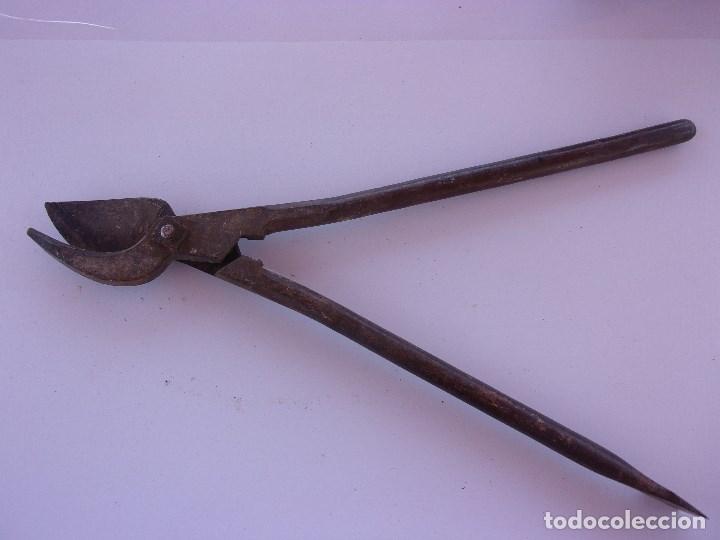 Antig&uuml;edades: TIJERA DE PODAR ANTIGUA. - Foto 2