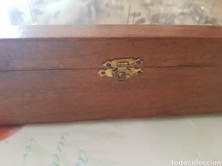 Antig&uuml;edades: Cuadro Expositor de insectos , a&ntilde;os 1940-50 - Foto 3