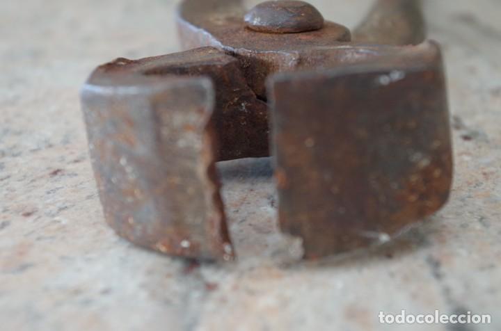 Antig&uuml;edades: TENAZAS DE CARPINTERIA DEL 10 CON MUESCAS CARPINTERO - Foto 1