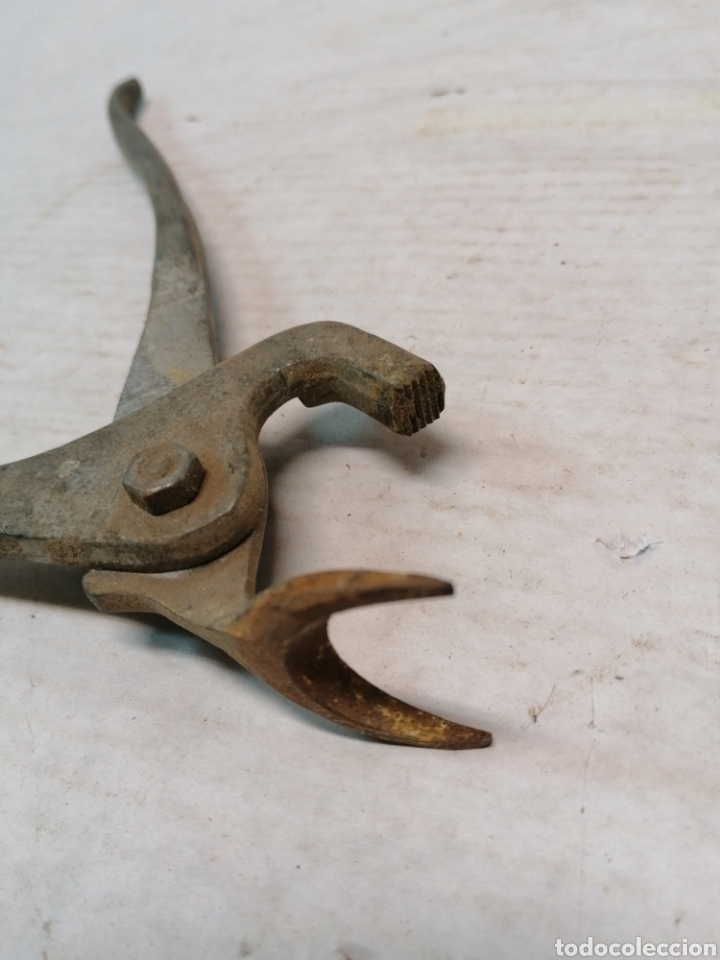 Antig&uuml;edades: Alicate extractor? - Foto 4