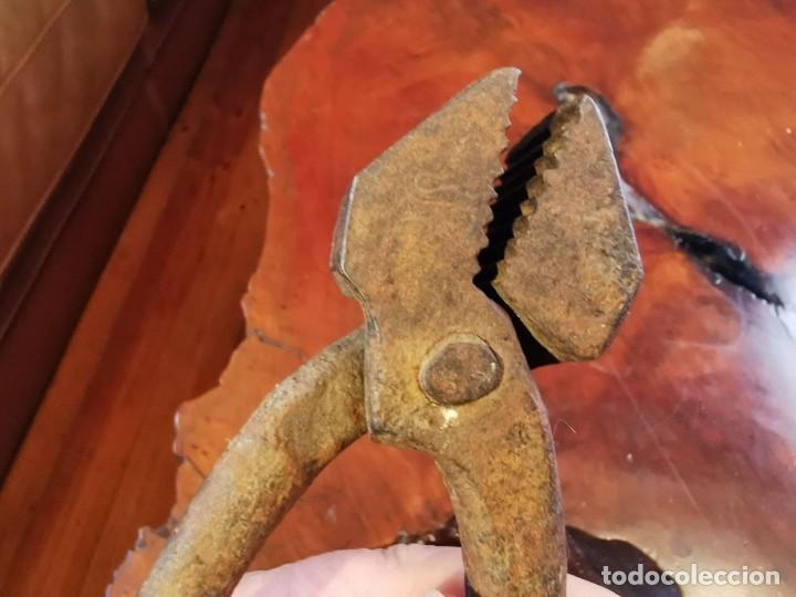 Antig&uuml;edades: ANTIGUOS ALICATES DE HIERRO FORJADO - Foto 3
