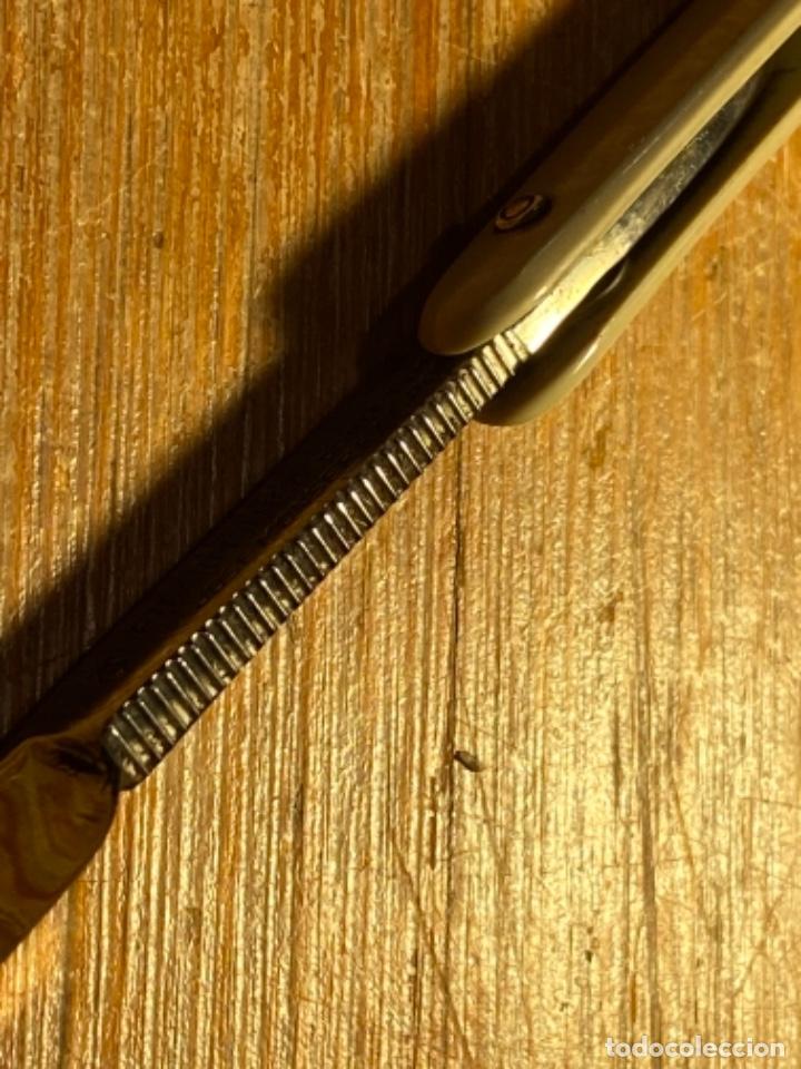 Antig&uuml;edades: Navaja de barbero. Fiarmonica - Foto 2