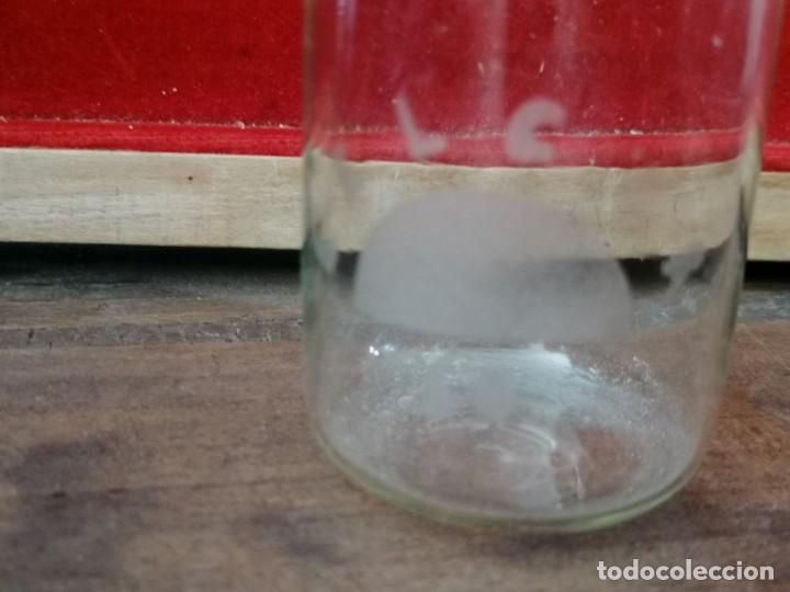 Antig&uuml;edades: Material de laboratorio de cristal, recipiente 5,5cm BELCOR. - Foto 3