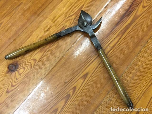 Antig&uuml;edades: Tijeras de podar antiguas - Foto 2
