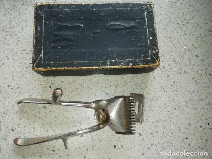Antig&uuml;edades: Maquinilla para pelar marca juwel - Foto 1