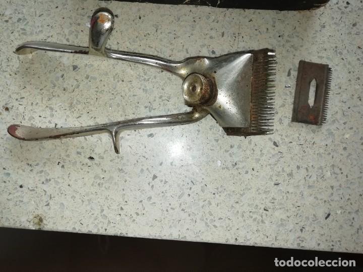 Antig&uuml;edades: Maquinilla para pelar marca juwel - Foto 2