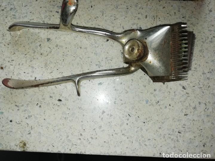 Antig&uuml;edades: Maquinilla para pelar marca juwel - Foto 3