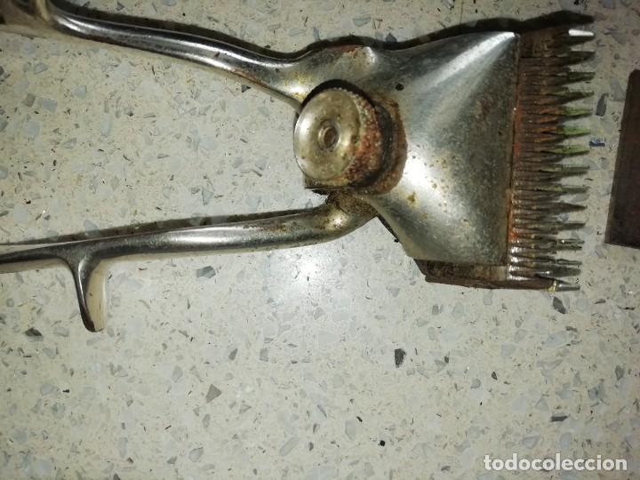 Antig&uuml;edades: Maquinilla para pelar marca juwel - Foto 5