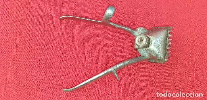 Antig&uuml;edades: M&Aacute;QUINA DE CORTAR EL PELO - Foto 2