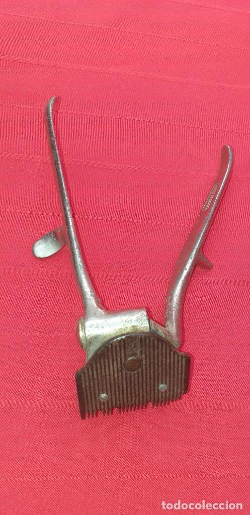 Antig&uuml;edades: M&Aacute;QUINA DE CORTAR EL PELO - Foto 6