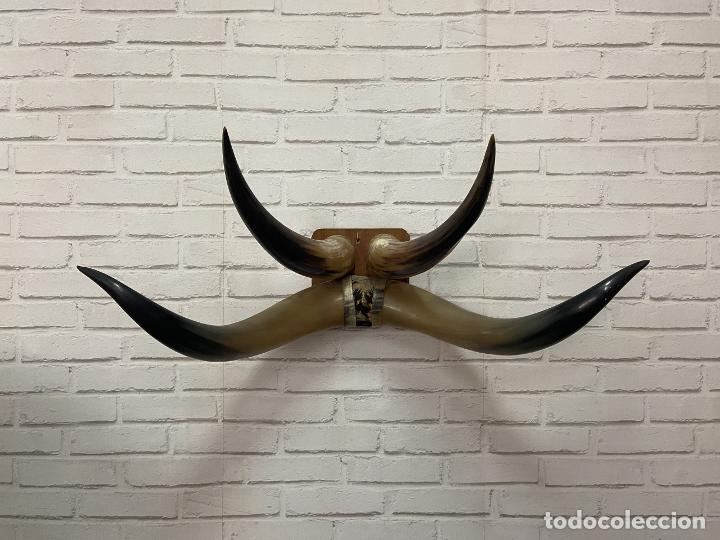 Antig&uuml;edades: Wall Buffalorn USA 1960&rsquo;s - LA OPALINA - Foto 1