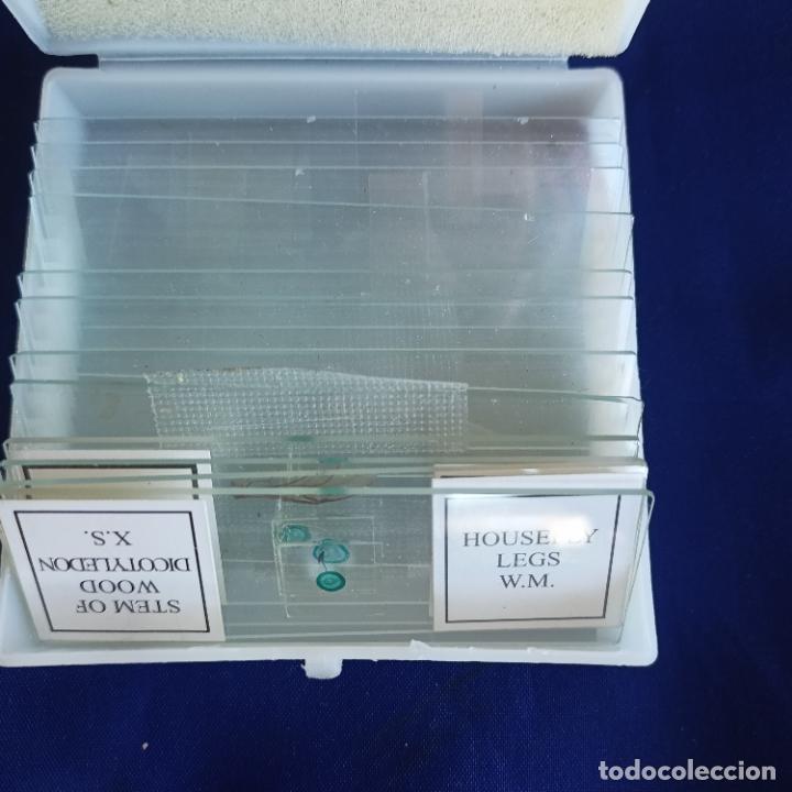 Antig&uuml;edades: Microscopio Bresser Biolux AL - Foto 5
