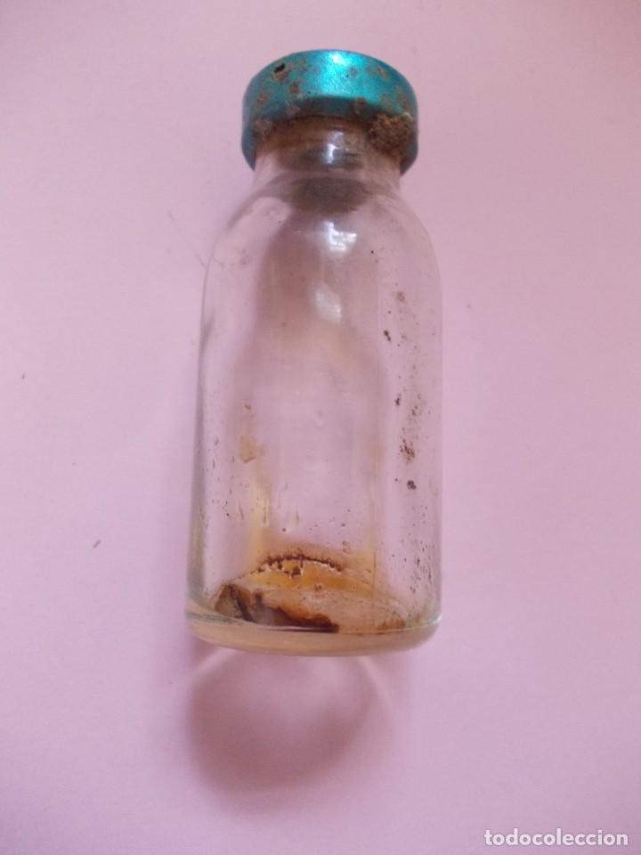 Antig&uuml;edades: Antigua Ampolla de antibioticos (vacio) - Foto 5