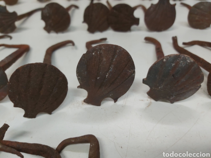 Antig&uuml;edades: 50 clavos veneras conchas - Foto 1