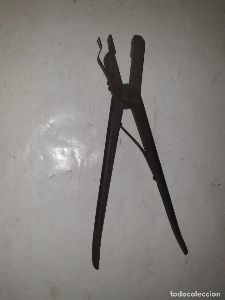 Antig&uuml;edades: PINZA - Foto 1