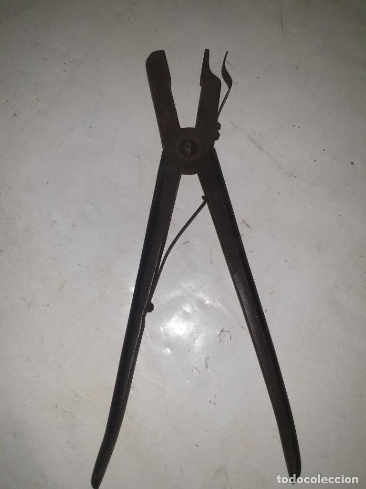 Antig&uuml;edades: PINZA - Foto 2