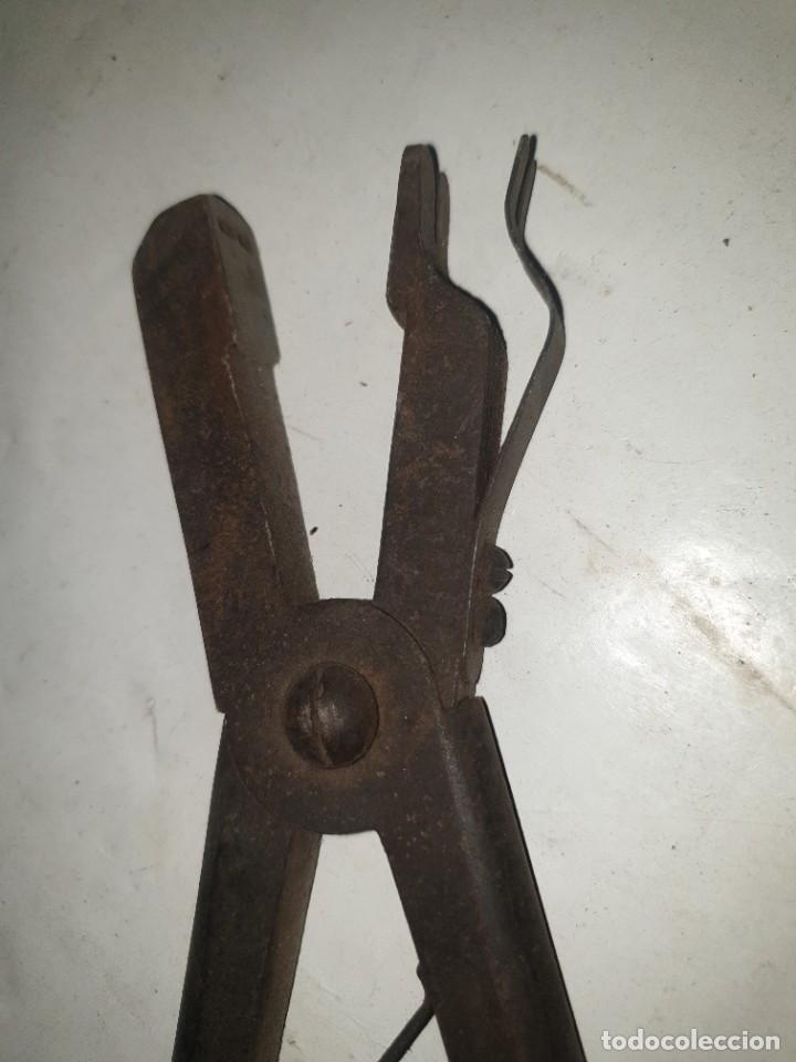 Antig&uuml;edades: PINZA - Foto 3