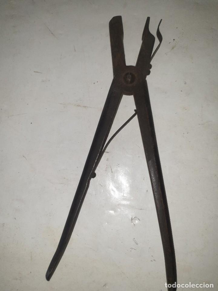 Antig&uuml;edades: PINZA - Foto 5