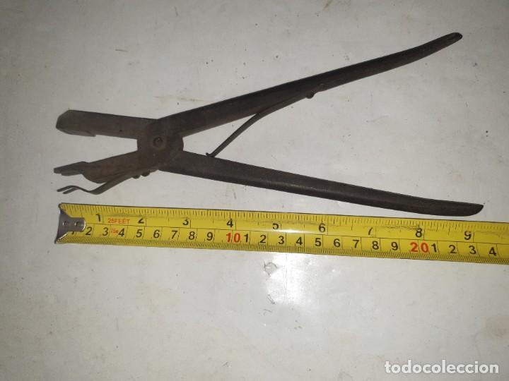 Antig&uuml;edades: PINZA - Foto 6